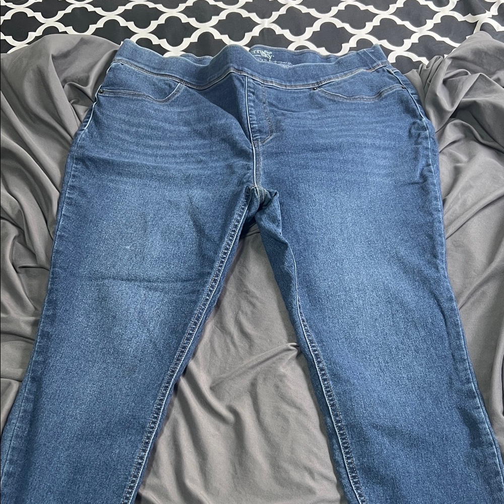 Terra & Sky Dark Blue Stretch Jeggings